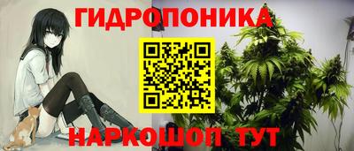 крисы Чебаркуль