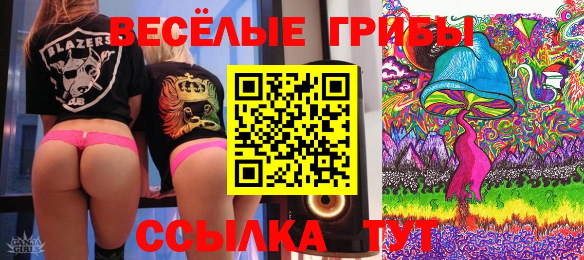 Псилоцибиновые грибы прущие грибы  Вход с VPN  Кушва 